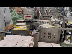 Solarmodule mit Silikondichtungsmittel Korrosionsbeständig 590 ml